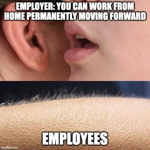 Remote Work Meme